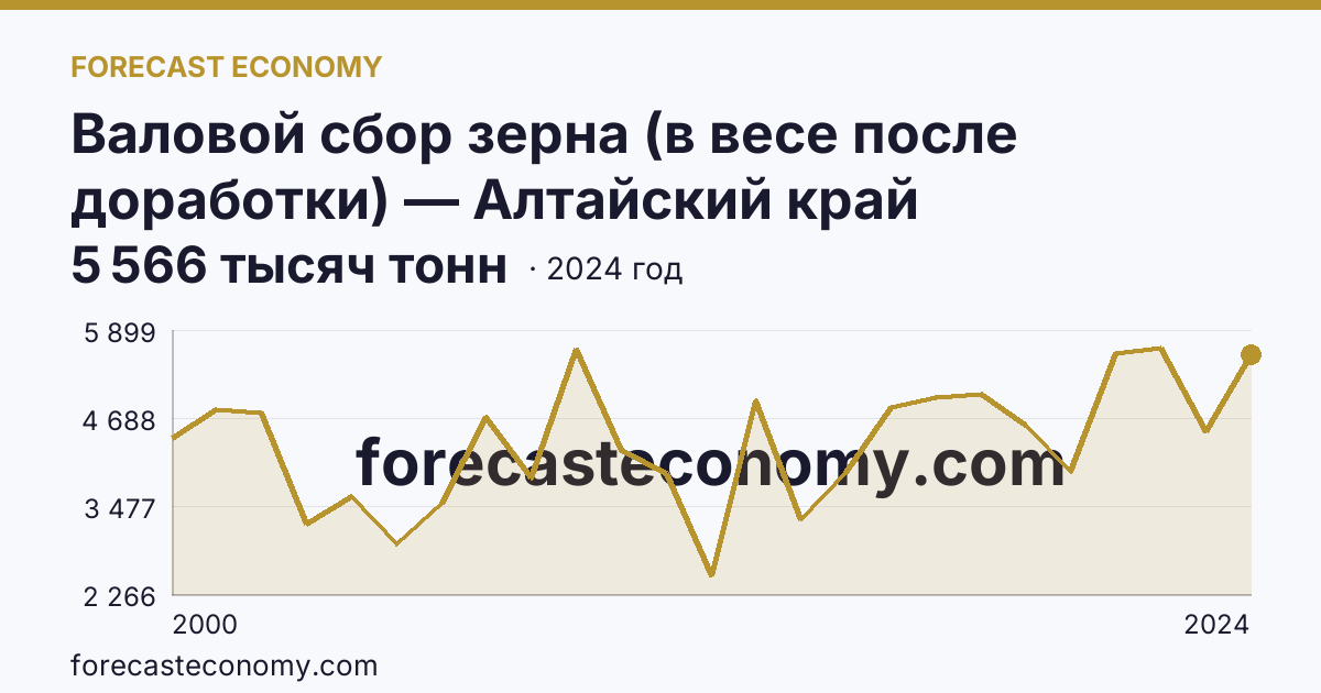Валовой сбор зерна (в весе после доработки) — Алтайский край: график динамики 2000–2024, последнее значение 5 566 тысяч тонн