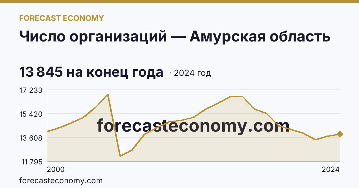 Число организаций — Амурская область: график динамики 2000–2024, последнее значение 13 845 на конец года