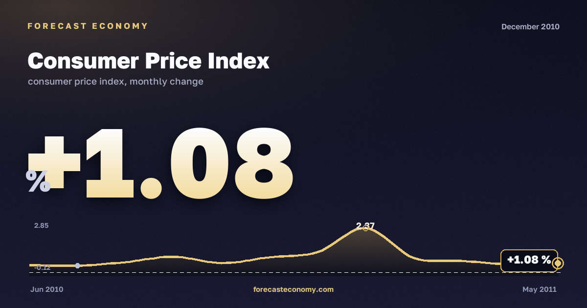 Consumer Price Index in December 2010 — chart with the monthly value, source Rosstat