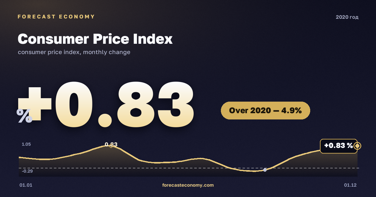 Consumer Price Index in 2020 — chart, Price growth over the year +4.91 %, source Rosstat