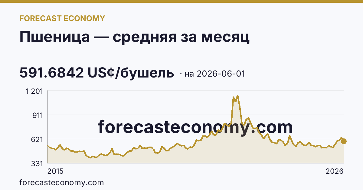 Пшеница — средняя за месяц — график динамики, последнее значение 591.6842 US¢/бушель, источник Рыночные котировки